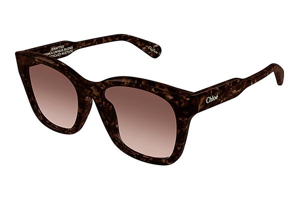 Sonnenbrille Chloé CH0194SK 002