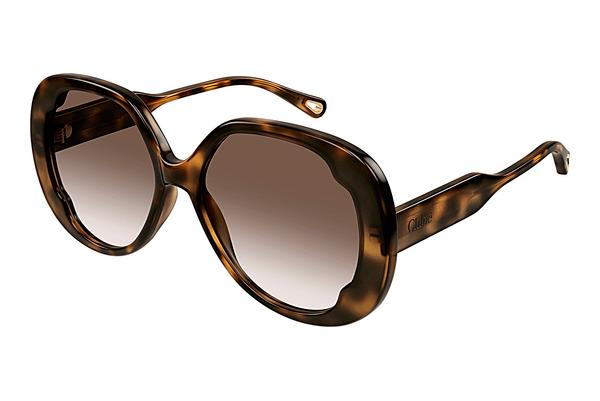 Sonnenbrille Chloé CH0195S 002