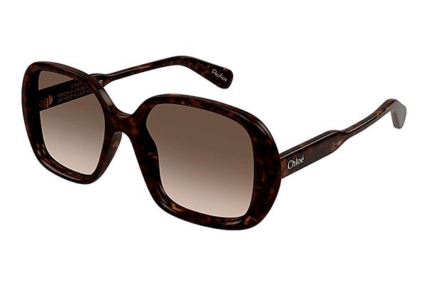 Sonnenbrille Chloé CH0222S 002