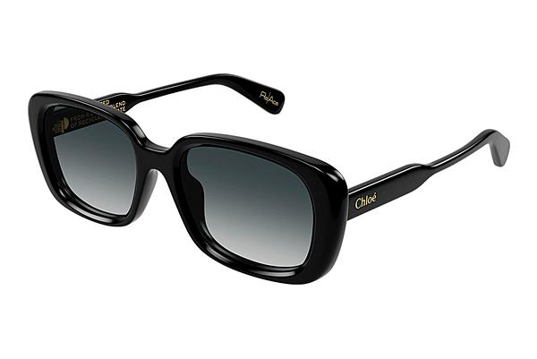 Sonnenbrille Chloé CH0225SK 001