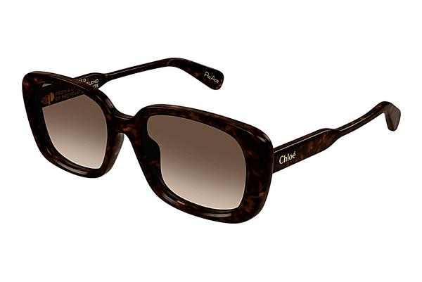 Sonnenbrille Chloé CH0225SK 002