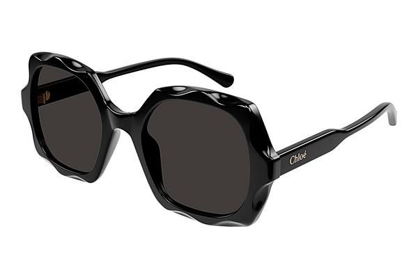 Sonnenbrille Chloé CH0226S 005