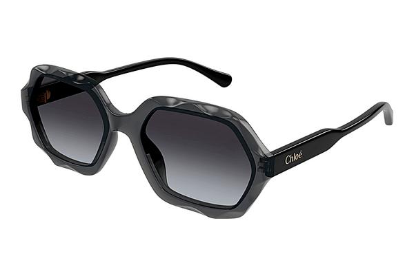 Sonnenbrille Chloé CH0227S 001