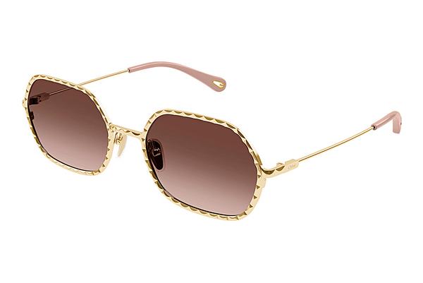 Sonnenbrille Chloé CH0231S 002