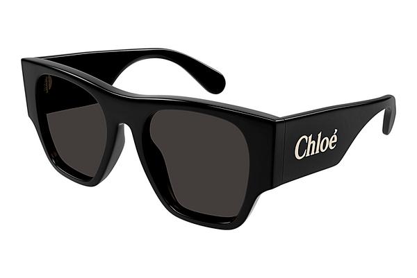 Ophthalmic Glasses Chloé CH0233S 001