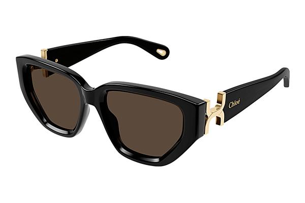 Sonnenbrille Chloé CH0235S 001