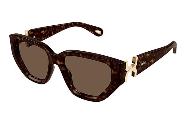 Sonnenbrille Chloé CH0235S 002