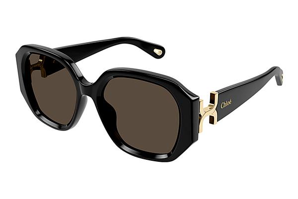 Sonnenbrille Chloé CH0236S 001