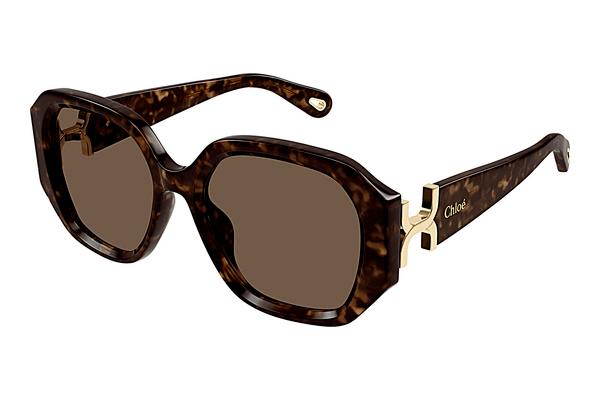 Sonnenbrille Chloé CH0236S 002