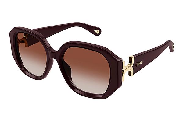 Sonnenbrille Chloé CH0236S 003