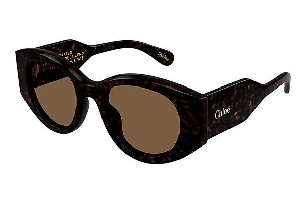 Sonnenbrille Chloé CH0251S 002