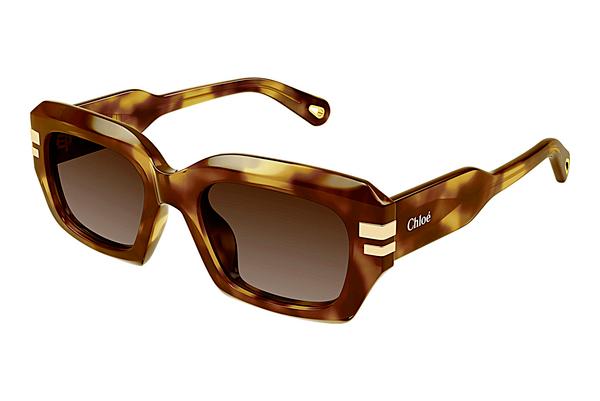 Sonnenbrille Chloé CH0256S 002