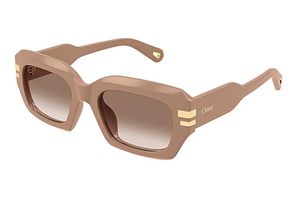 Sonnenbrille Chloé CH0256S 005