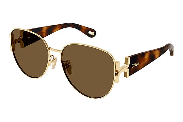 Sonnenbrille Chloé CH0261SK 002