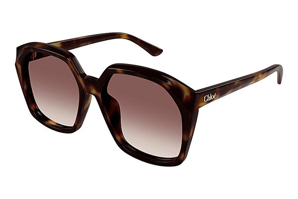 Sonnenbrille Chloé CH0280S 006