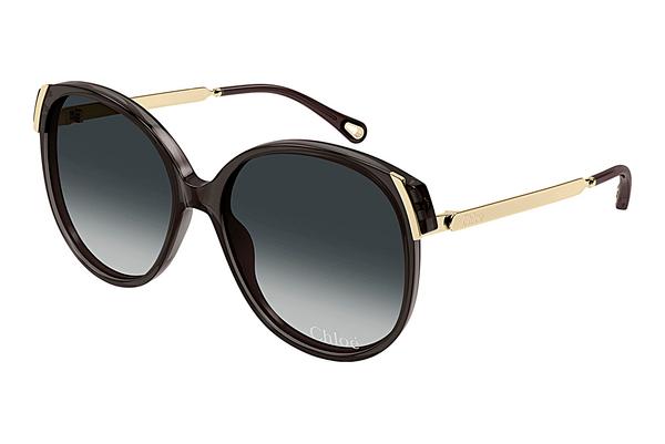 Saulesbrilles Chloé CH0285S 001