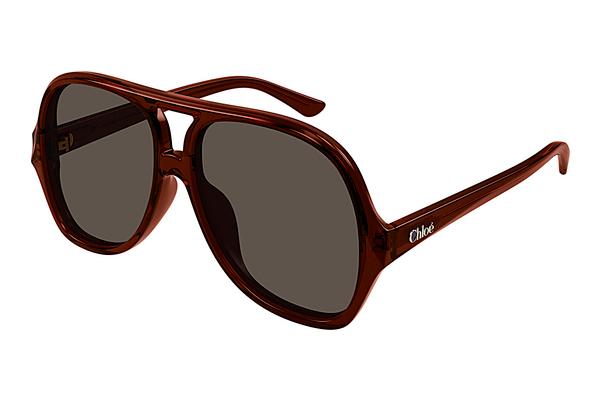 Sonnenbrille Chloé CH0289S 002