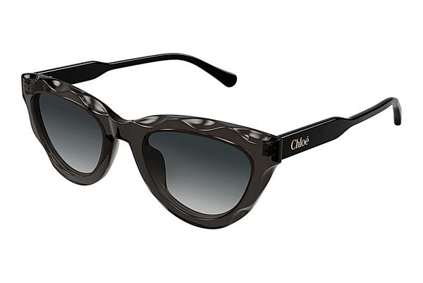 Sonnenbrille Chloé CH0294S 001