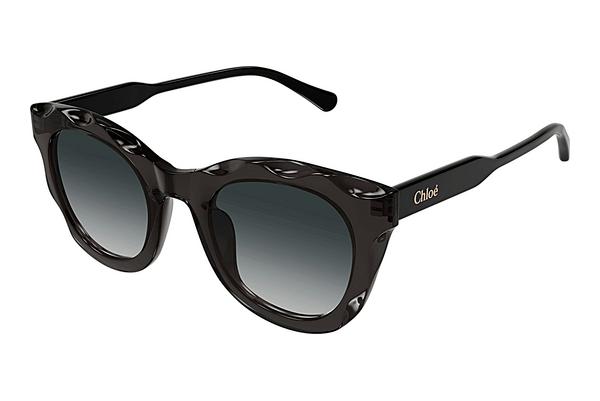 Sonnenbrille Chloé CH0295S 001