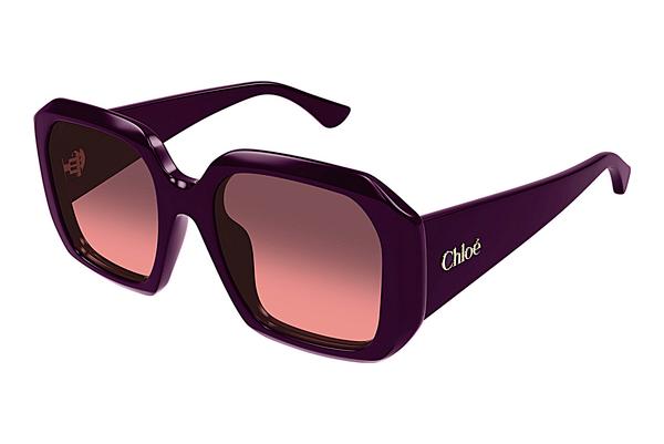 Sonnenbrille Chloé CH0300S 004