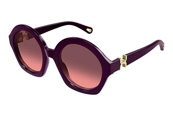 Sonnenbrille Chloé CH0302S 005