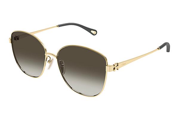 Sonnenbrille Chloé CH0306SK 003