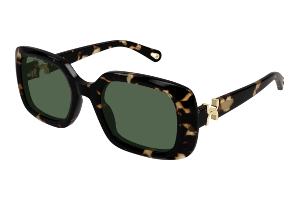 Päikeseprillid Chloé CH0333S 002