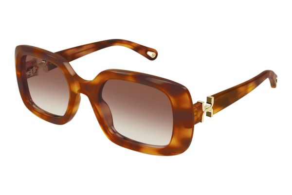 Päikeseprillid Chloé CH0333S 003