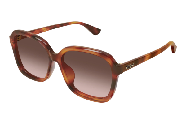 Aurinkolasit Chloé CH0390SK 002