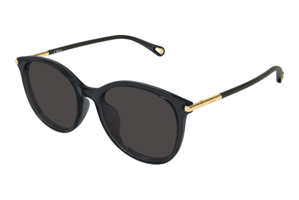 Aurinkolasit Chloé CH0397SK 001