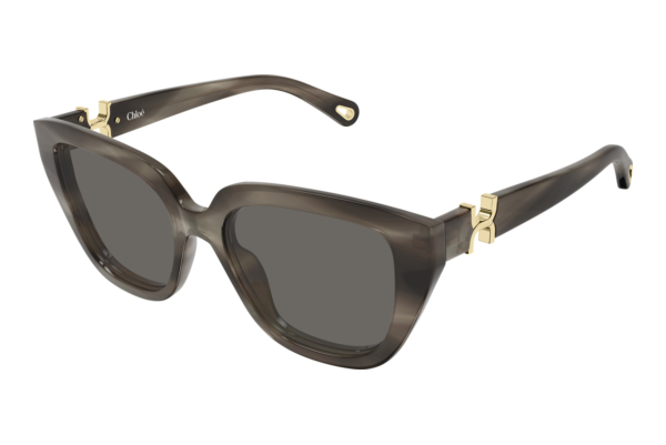 Aurinkolasit Chloé CH0410S 002