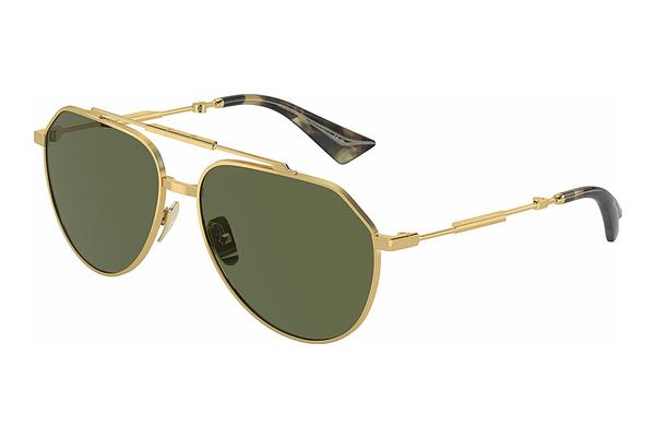 Sonnenbrille Dolce & Gabbana DG2302 02/58