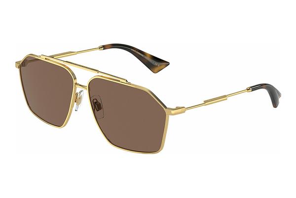 Solbriller Dolce & Gabbana DG2303 02/73