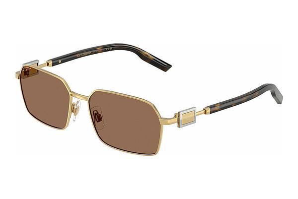 Sonnenbrille Dolce & Gabbana DG2316 02/73