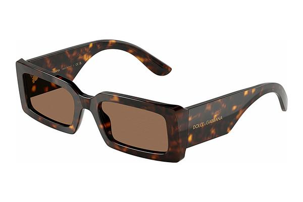 Sonnenbrille Dolce & Gabbana DG4416 193573