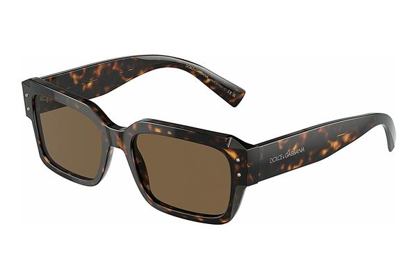 Sunglasses Dolce & Gabbana DG4460 502/73