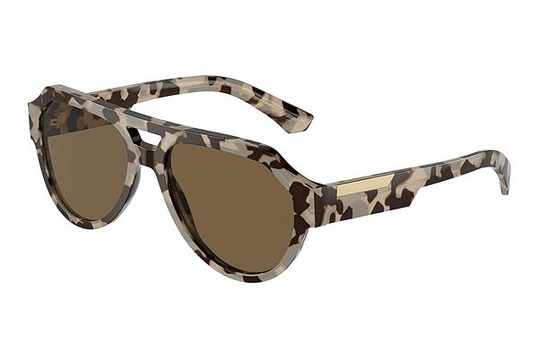 Sunglasses Dolce & Gabbana DG4466 343473