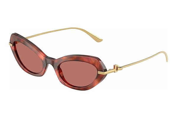 Sonnenbrille Dolce & Gabbana DG4473 344469