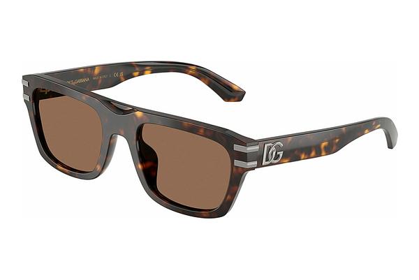 Sonnenbrille Dolce & Gabbana DG4496 502/73