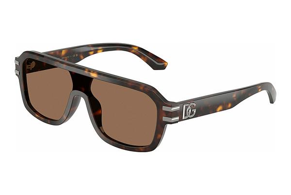 Sonnenbrille Dolce & Gabbana DG4507 502/73