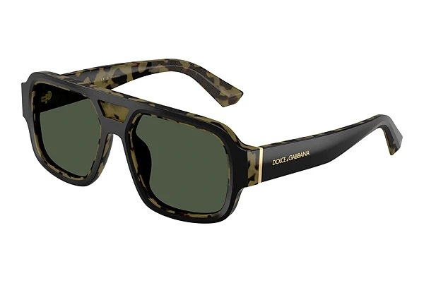 Saulesbrilles Dolce & Gabbana DG4516 34049A