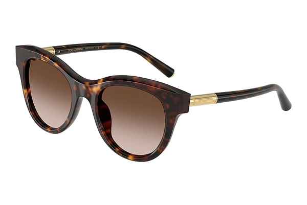 Solglasögon Dolce & Gabbana DG4518 502/13