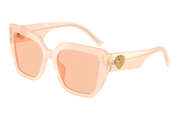 Solglasögon Dolce & Gabbana DG4538 304173