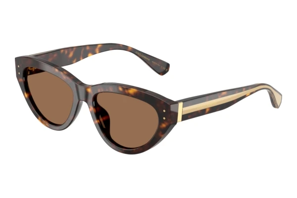 Saulesbrilles Dolce & Gabbana DG4558 502/73