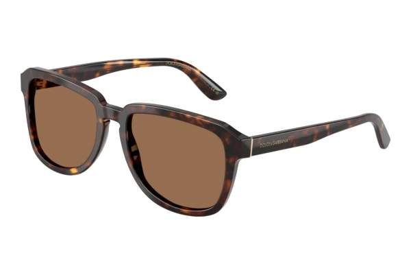Päikeseprillid Dolce & Gabbana DG4566 502/73