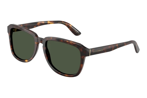 Päikeseprillid Dolce & Gabbana DG4566 502/9A