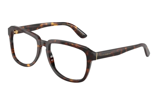 Päikeseprillid Dolce & Gabbana DG4566 502/SB