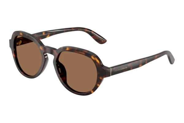 Päikeseprillid Dolce & Gabbana DG4567 502/73