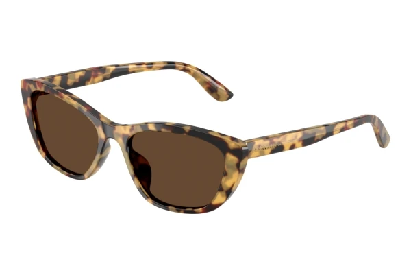 Päikeseprillid Dolce & Gabbana DG4571 512/73