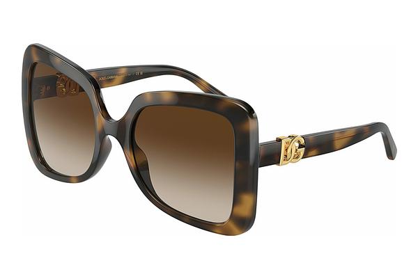 Sonnenbrille Dolce & Gabbana DG6193U 502/13